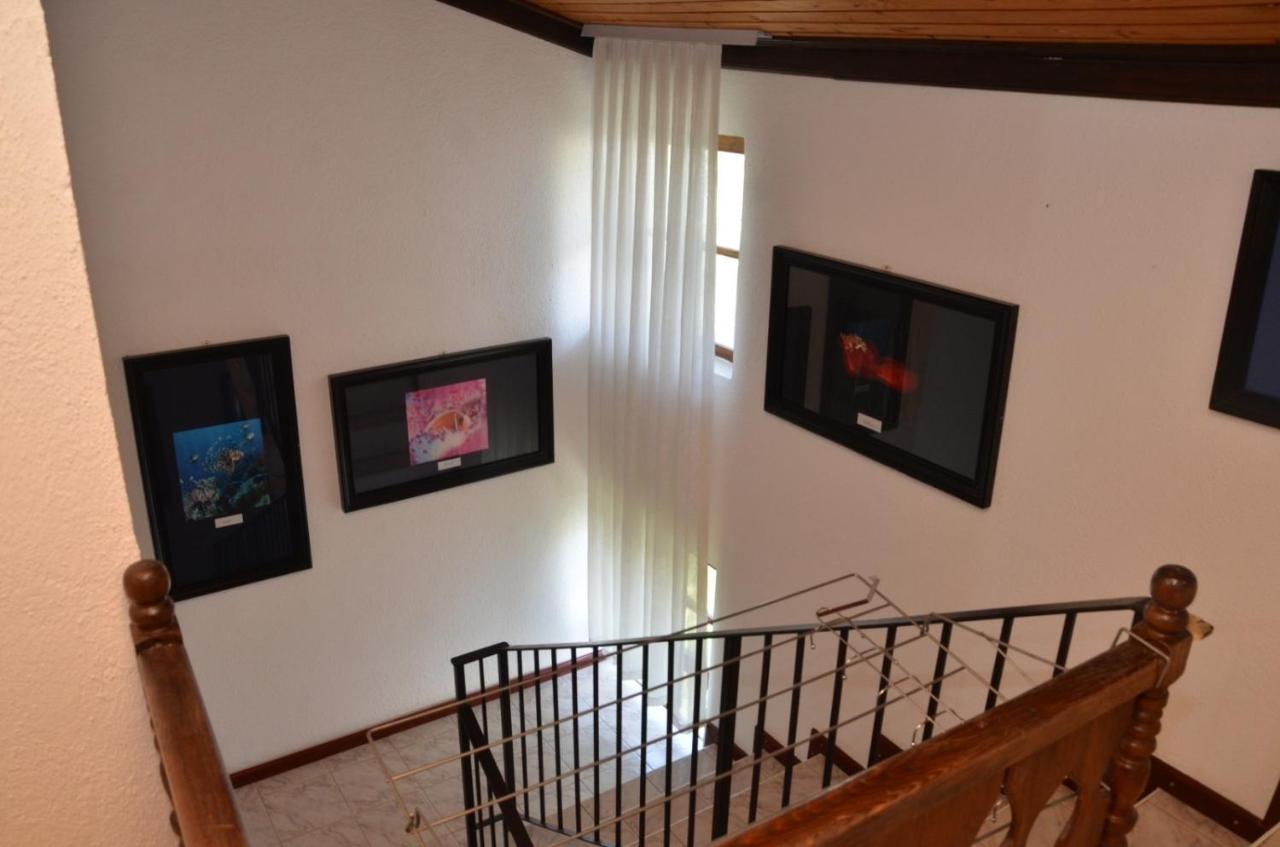 Vila Delfin أوهغيد المظهر الخارجي الصورة