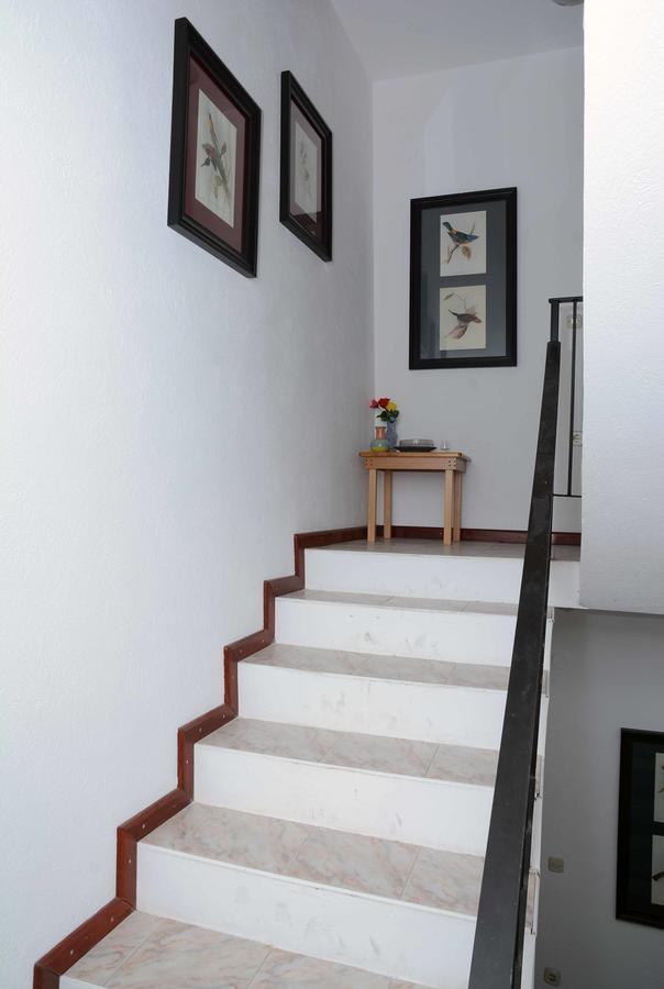 Vila Delfin أوهغيد المظهر الخارجي الصورة